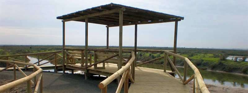 Algaida