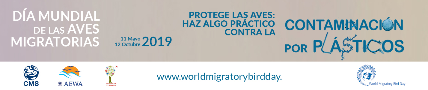 noticias aves migratorias