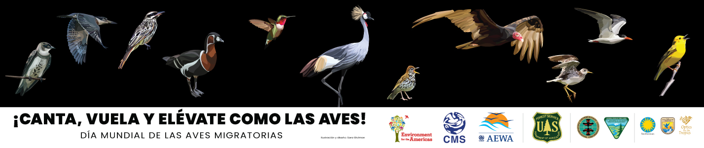 noticias aves migratorias