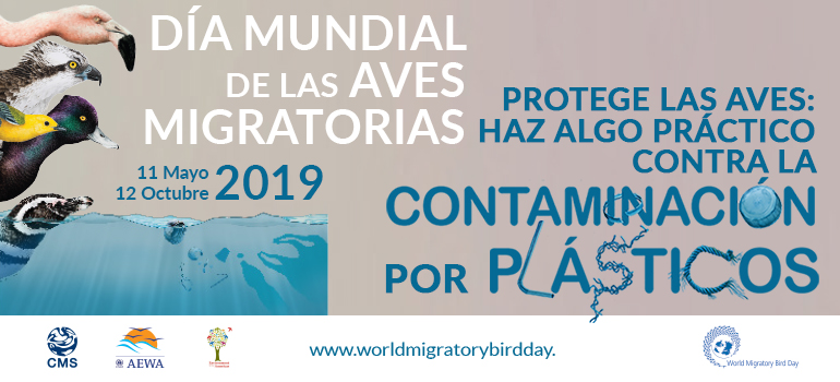 noticias aves migratorias